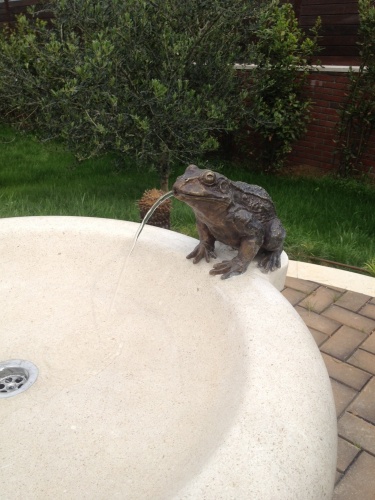 фантан "Звездочка"