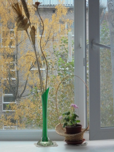 осень в серебряном окне