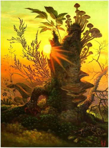 Лесной натюрморт на восходе солнца