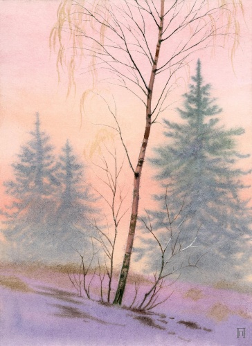 Зимняя березка