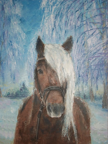 зимний портрет лошади