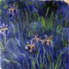 Description of the painting by Claude Monet 