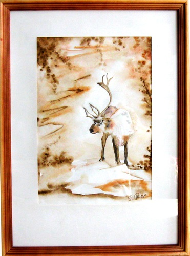 В стране оленьей