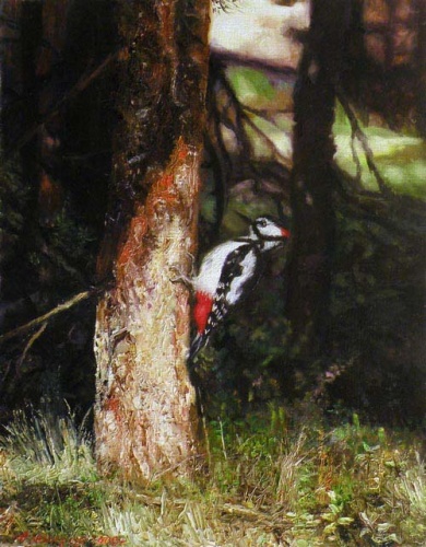 Лесной барабанщик