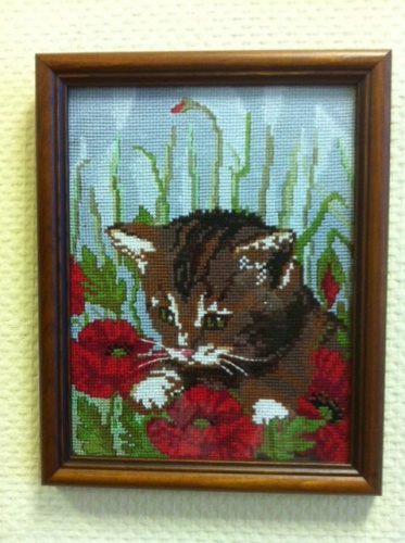Картина "Котенок в маках"