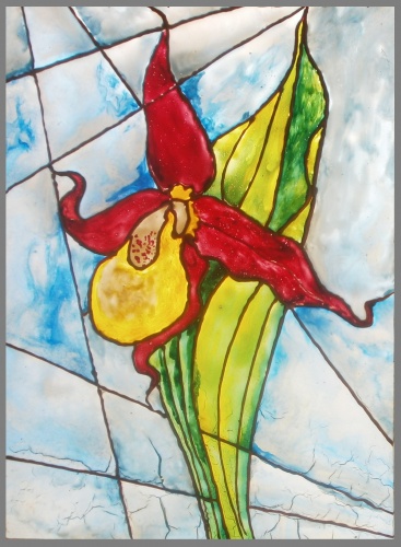 венерин башмачок