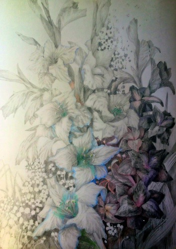 Гладиолусы