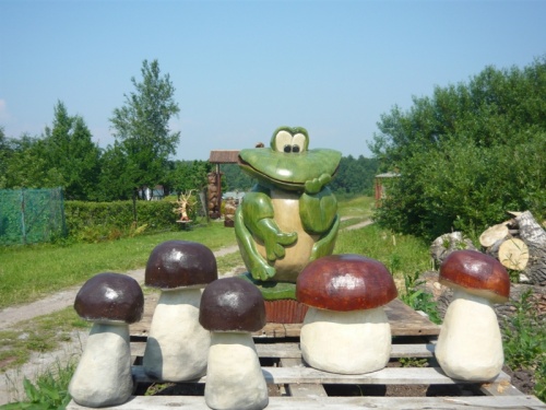 Гриб боровик